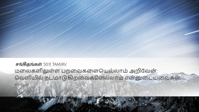 சங்கீதங்கள் 50:11 TAMIRV Desktop Wallpaper - மலைகளிலுள்ள - Desktop Bible Verse Wallpaper