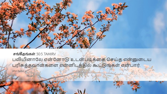 சங்கீதங்கள் 50:5 TAMIRV Bible Verse Image