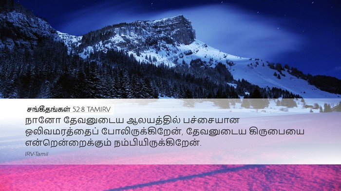 சங்கீதங்கள் 52:8 TAMIRV Bible Verse Image