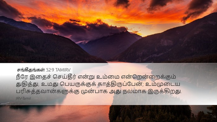 சங்கீதங்கள் 52:9 TAMIRV Desktop Wallpaper - நீரே இதைச் - Desktop Bible Verse Wallpaper