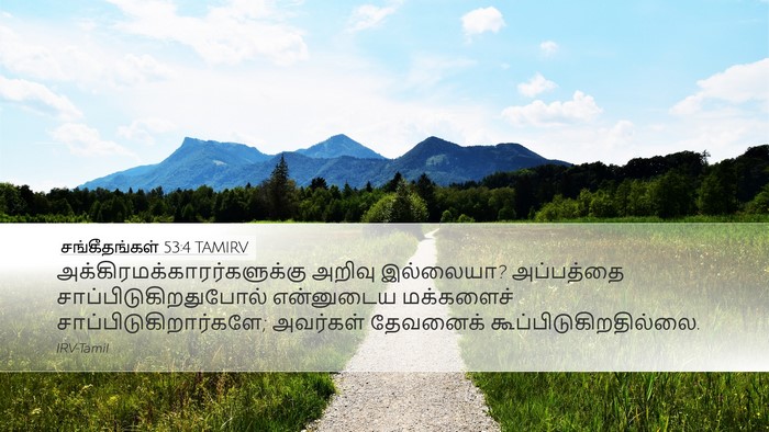 சங்கீதங்கள் 53:4 TAMIRV Bible Verse Image