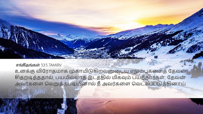 சங்கீதங்கள் 53:5 TAMIRV Bible Verse Image