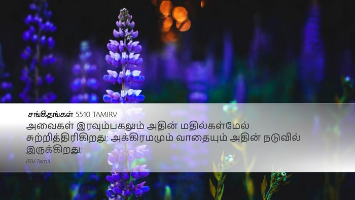 சங்கீதங்கள் 55:10 TAMIRV Bible Verse Image