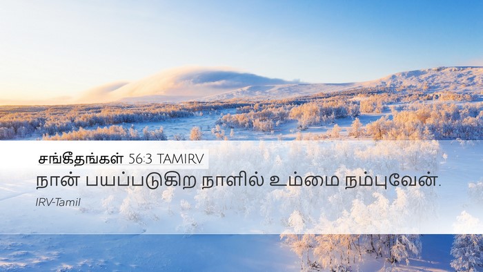 சங்கீதங்கள் 56:3 TAMIRV Bible Verse Image