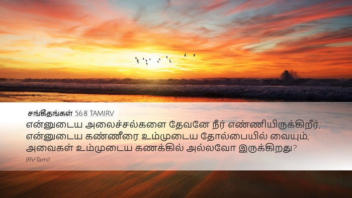 சங்கீதங்கள் 56:8 TAMIRV Bible Verse Image