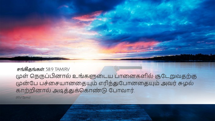 சங்கீதங்கள் 58:9 TAMIRV Bible Verse Image
