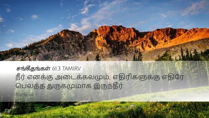 சங்கீதங்கள் 61:3 TAMIRV Bible Verse Image