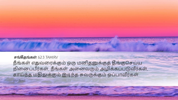 சங்கீதங்கள் 62:3 TAMIRV Bible Verse Image