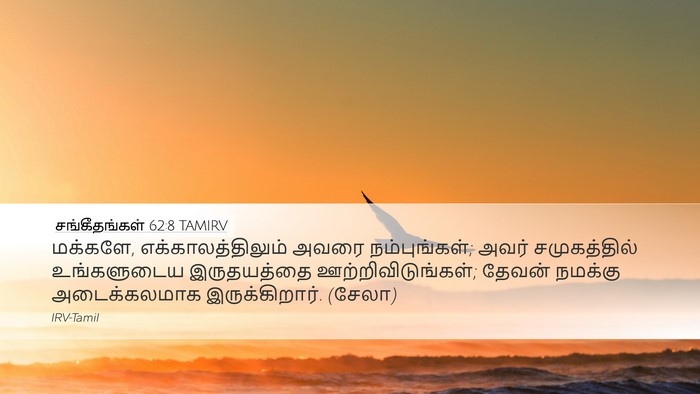 சங்கீதங்கள் 62:8 TAMIRV Bible Verse Image