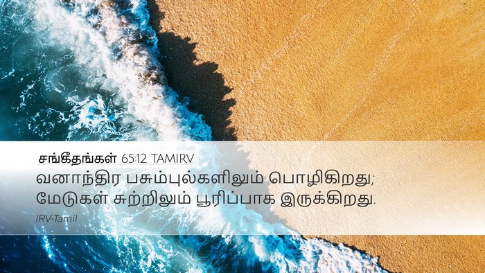 சங்கீதங்கள் 65:12 TAMIRV Bible Verse Image