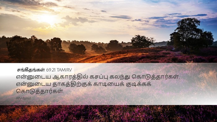 சங்கீதங்கள் 69:21 TAMIRV Bible Verse Image