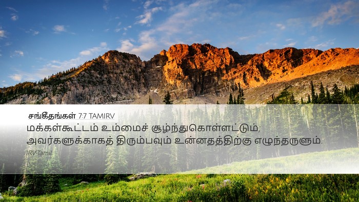 சங்கீதங்கள் 7:7 TAMIRV Bible Verse Image