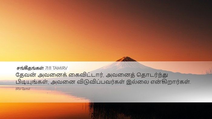 சங்கீதங்கள் 71:11 TAMIRV Bible Verse Image