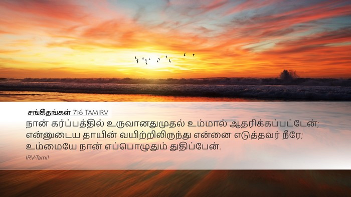 சங்கீதங்கள் 71:6 TAMIRV Bible Verse Image