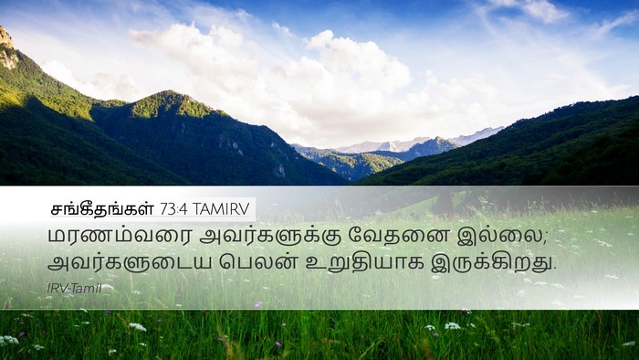 சங்கீதங்கள் 73:4 TAMIRV Desktop Wallpaper - மரணம்வரை - Desktop Bible Verse Wallpaper