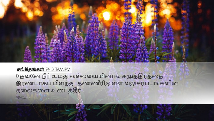 சங்கீதங்கள் 74:13 TAMIRV Desktop Wallpaper - தேவனே நீர் உமது - Desktop Bible Verse Wallpaper