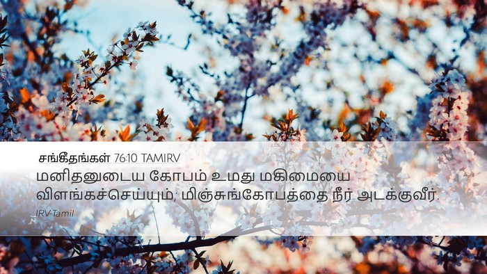 சங்கீதங்கள் 76:10 TAMIRV Bible Verse Image