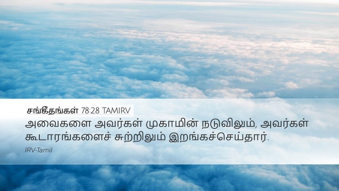 சங்கீதங்கள் 78:28 TAMIRV Desktop Wallpaper - அவைகளை அவர்கள் - Desktop Bible Verse Wallpaper