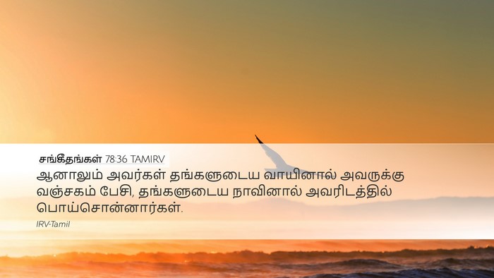 சங்கீதங்கள் 78:36 TAMIRV Bible Verse Image