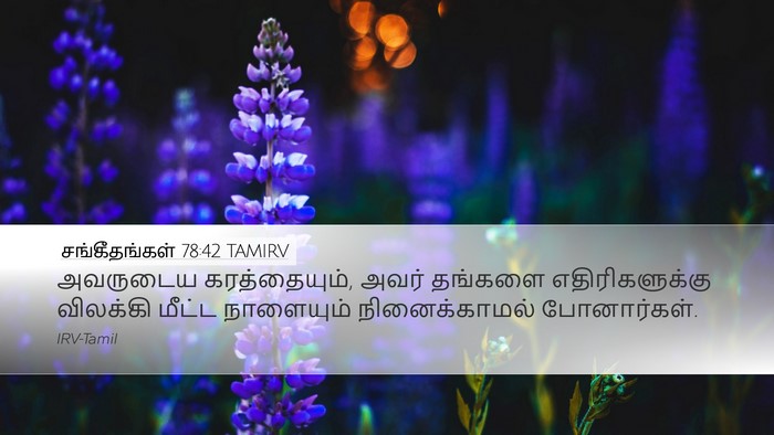 சங்கீதங்கள் 78:42 TAMIRV Bible Verse Image