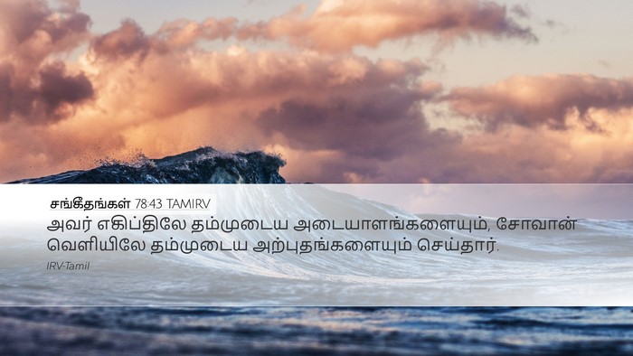 சங்கீதங்கள் 78:43 TAMIRV Bible Verse Image