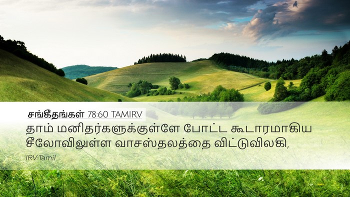 சங்கீதங்கள் 78:60 TAMIRV Bible Verse Image