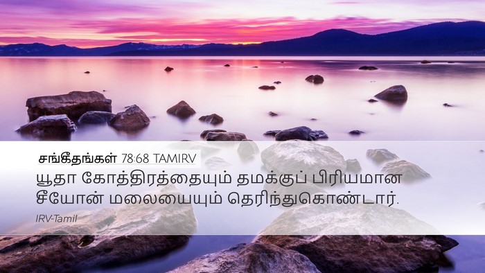 சங்கீதங்கள் 78:68 TAMIRV Bible Verse Image