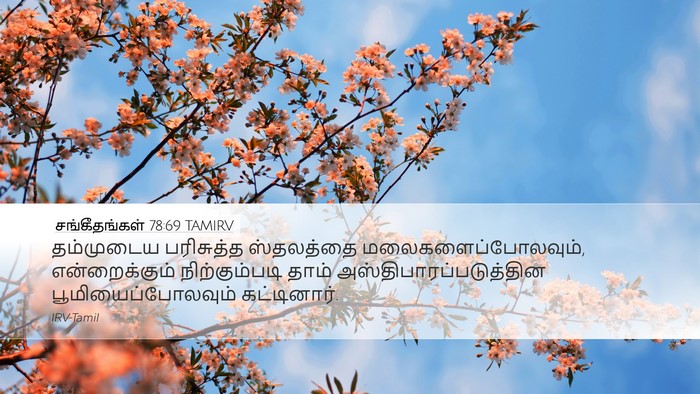 சங்கீதங்கள் 78:69 TAMIRV Desktop Wallpaper - தம்முடைய பரிசுத்த - Desktop Bible Verse Wallpaper