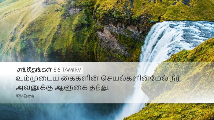 சங்கீதங்கள் 8:6 TAMIRV Bible Verse Image