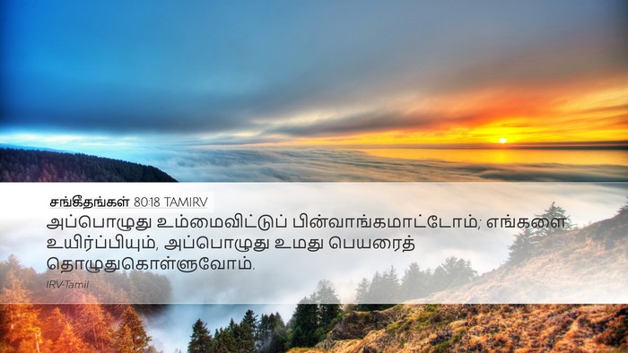 சங்கீதங்கள் 80:18 TAMIRV Bible Verse Image
