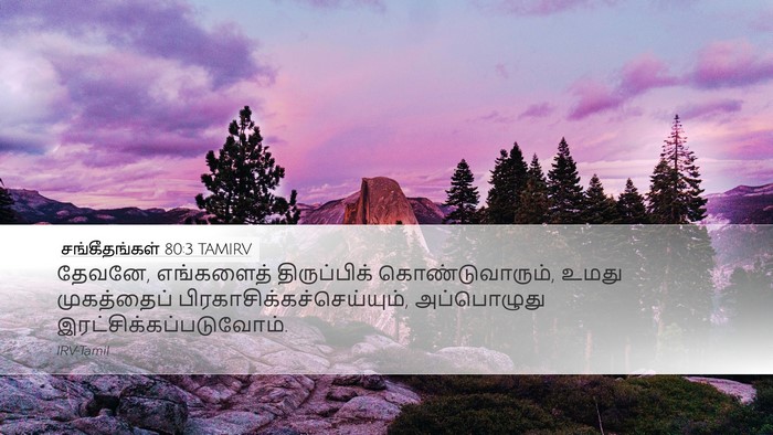 சங்கீதங்கள் 80:3 TAMIRV Bible Verse Image