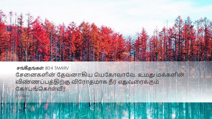 சங்கீதங்கள் 80:4 TAMIRV Bible Verse Image