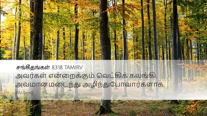 சங்கீதங்கள் 83:18 TAMIRV Bible Verse Image