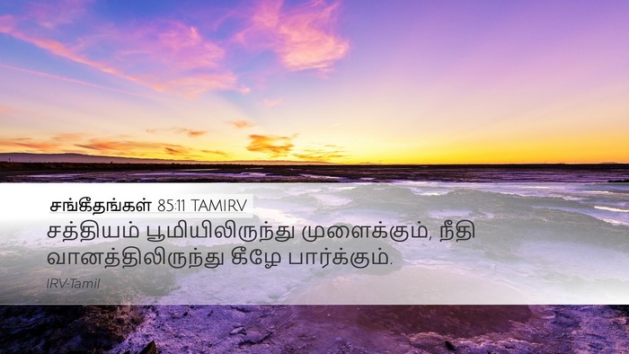 சங்கீதங்கள் 85:11 TAMIRV Desktop Wallpaper - சத்தியம் - Desktop Bible Verse Wallpaper