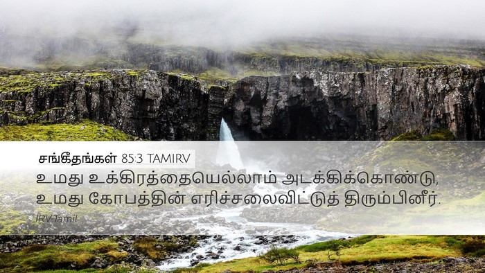 சங்கீதங்கள் 85:3 TAMIRV Desktop Wallpaper - உமது - Desktop Bible Verse Wallpaper