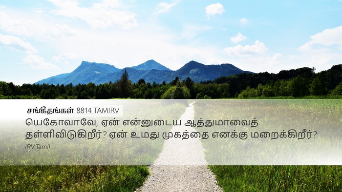சங்கீதங்கள் 88:14 TAMIRV Bible Verse Image