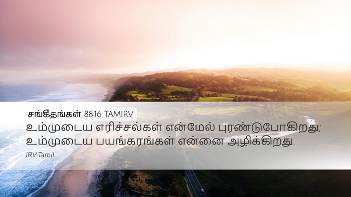 சங்கீதங்கள் 88:16 TAMIRV Bible Verse Image