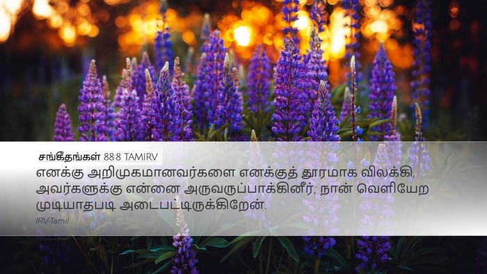 சங்கீதங்கள் 88:8 TAMIRV Bible Verse Image