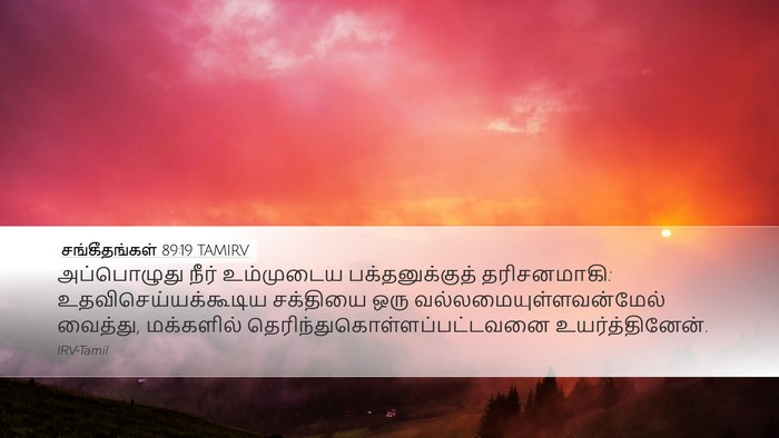 சங்கீதங்கள் 89:19 TAMIRV Bible Verse Image