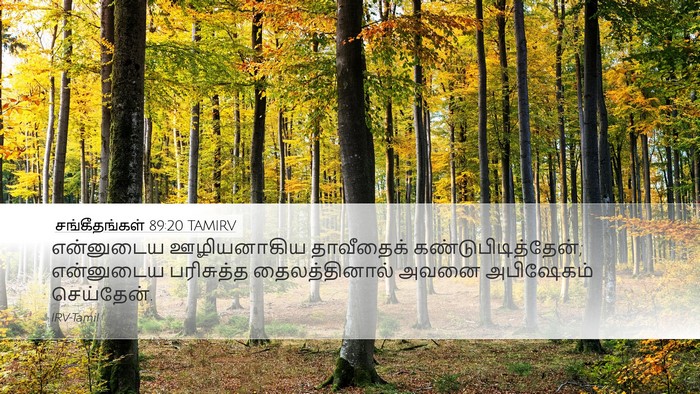 சங்கீதங்கள் 89:20 TAMIRV Bible Verse Image