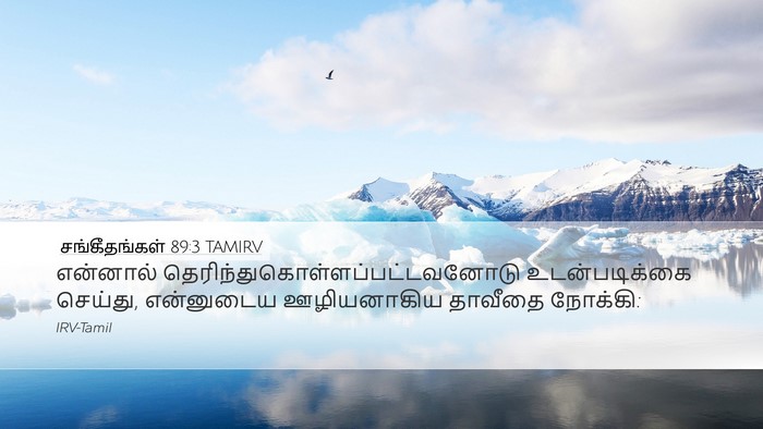 சங்கீதங்கள் 89:3 TAMIRV Bible Verse Image