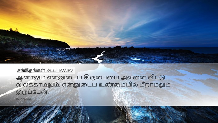 சங்கீதங்கள் 89:33 TAMIRV Bible Verse Image