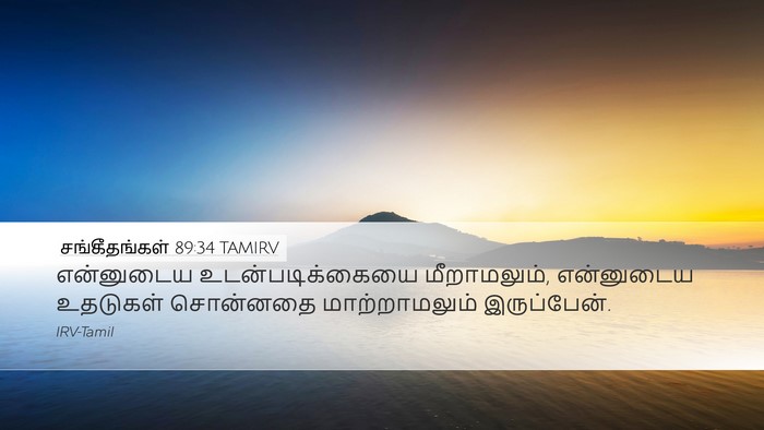 சங்கீதங்கள் 89:34 TAMIRV Bible Verse Image