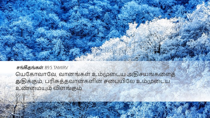 சங்கீதங்கள் 89:5 TAMIRV Bible Verse Image