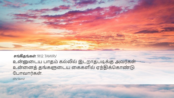 சங்கீதங்கள் 91:12 TAMIRV Bible Verse Image