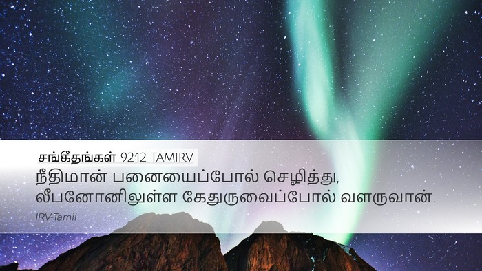 சங்கீதங்கள் 92:12 TAMIRV Desktop Wallpaper - நீதிமான் - Desktop Bible Verse Wallpaper