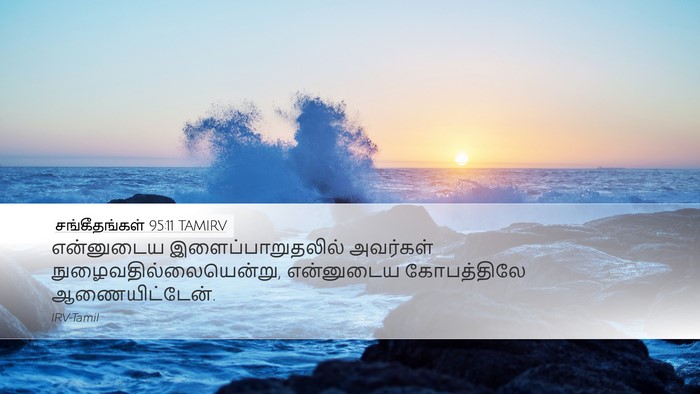 சங்கீதங்கள் 95:11 TAMIRV Bible Verse Image