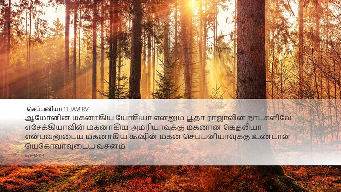 செப்பனியா 1:1 TAMIRV Desktop Wallpaper - ஆமோனின் மகனாகிய - Desktop Bible Verse Wallpaper