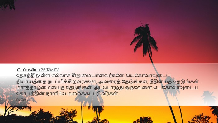 செப்பனியா 2:3 TAMIRV Bible Verse Image