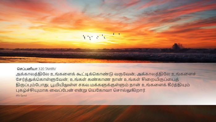 செப்பனியா 3:20 TAMIRV Bible Verse Image
